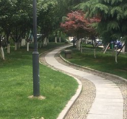校园环境